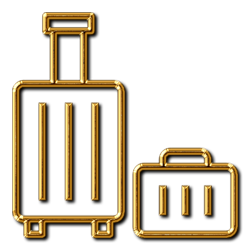 gold-graphics-luggage