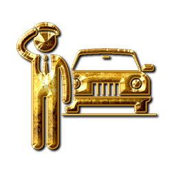 gold-graphic-professional-driver